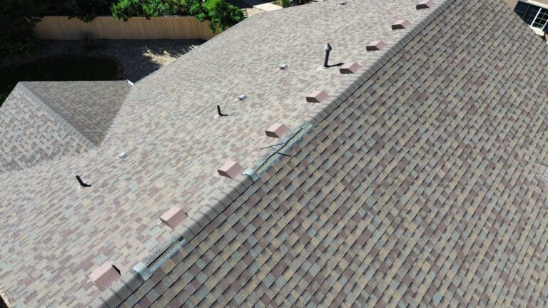 A group of roofing experts conducting maintenance on a tiled roof in Sydney, Australia