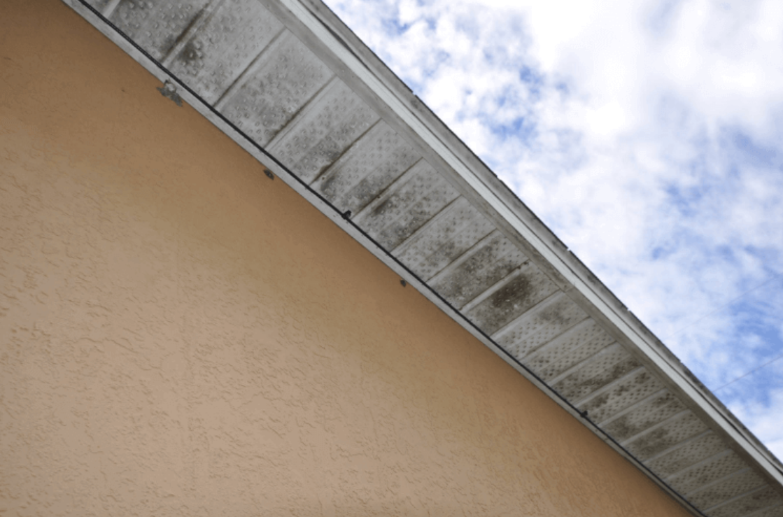 Mouldy Eaves Repair: Expert Roofing Services in Sydney